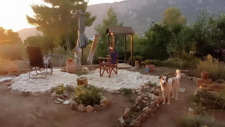 Harmonic Place Loutraki المظهر الخارجي الصورة